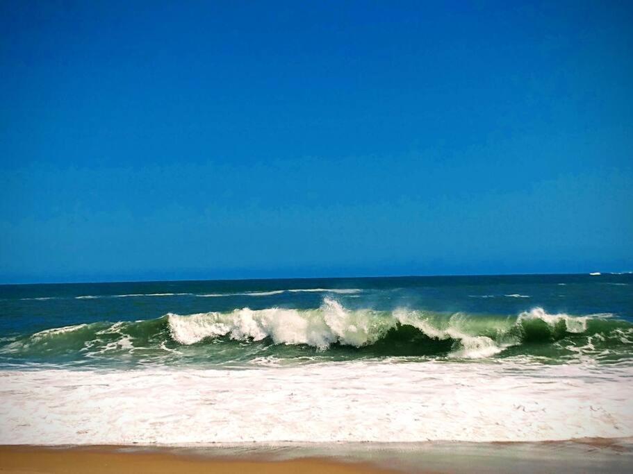 Aloha Sertao Flats Sao Sebastiao  Eksteriør bilde